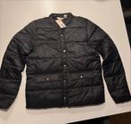 Nieuwe zwarte gewatteerde jas maat S, Kleding | Dames, Jassen | Winter, Ophalen of Verzenden, Nieuw, Maat 36 (S), Zwart