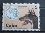 POSTZEGEL  CUBA 1975 - HOND   =2937=, Ophalen of Verzenden, Gestempeld, Midden-Amerika