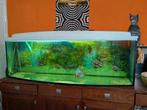Juwel Vision 450, Dieren en Toebehoren, Ophalen, Gebruikt, Leeg aquarium