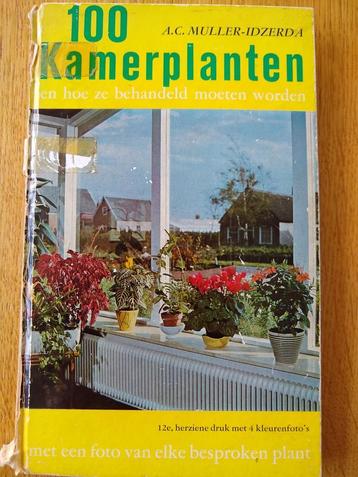 100 kamerplanten en hoe ze behandeld moeten worden beschikbaar voor biedingen
