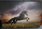 canvas, paard 140x90 cm, Ophalen