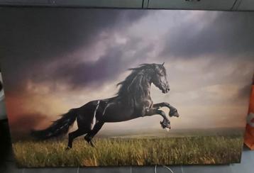 canvas, paard 140x90 cm beschikbaar voor biedingen