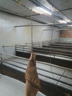 Afleidingsmateriaal rvs ketting, kabel, karabijnhaak, Ophalen