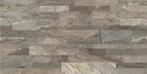 Wandtegel! La Fenice Decor 30,8x61,5 nu voor €34,95