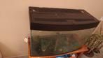 Aquarium, Dieren en Toebehoren, Vissen | Aquaria en Toebehoren, Ophalen, Gebruikt, Leeg aquarium