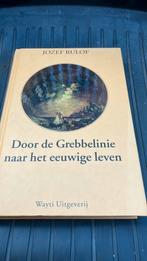 J. Rulof - Door de Grebbelinie naar het eeuwige leven, Boeken, Ophalen of Verzenden, Zo goed als nieuw, J. Rulof, Overige typen