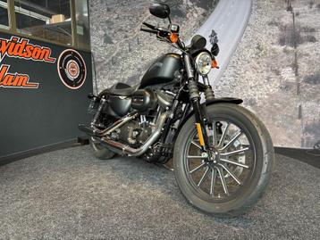 Harley-Davidson XL883N Sportster Iron (bj 2014) beschikbaar voor biedingen