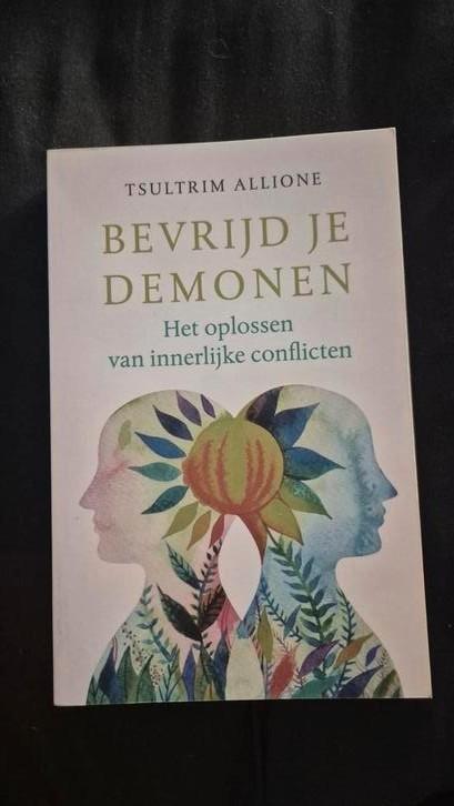 Tsultrim Allione - Bevrijd je demonen, Boeken, Psychologie, Zo goed als nieuw, Ophalen of Verzenden