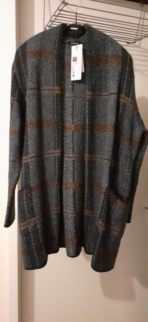 Nieuw vest maat 46-48 van Olsen, Kleding | Dames, Grote Maten, Nieuw, Trui of Vest, Blauw, Ophalen of Verzenden