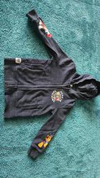 Paw Patrol Vest Maat 122 jongen blauw, Gebruikt, Trui of Vest, Ophalen of Verzenden, Paw Patrol