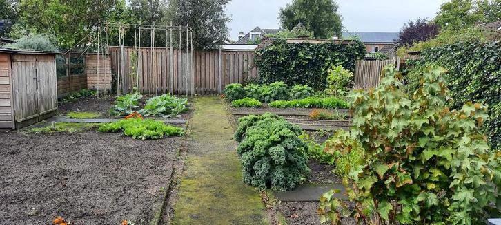 Nette grote moestuin in Hellendoorn - Gratis te verzorgen!, Tuin en Terras, Overige Tuin en Terras, Gebruikt, Ophalen