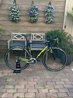 Apex Chase racefiets 56cm, Fietsen en Brommers, Fietsen | Racefietsen, Overige merken, Carbon, Ophalen of Verzenden, Zo goed als nieuw