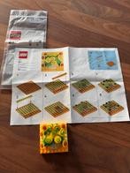 Lego mini Zonnebloemen (Sunflowers) 6565145 - exclusief!, Ophalen of Verzenden, Zo goed als nieuw, Complete set, Lego