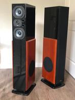 polk LSi15 staande luidsprekers, Audio, Tv en Foto, Luidsprekers, Gebruikt, 120 watt of meer, Front, Rear of Stereo speakers, Ophalen