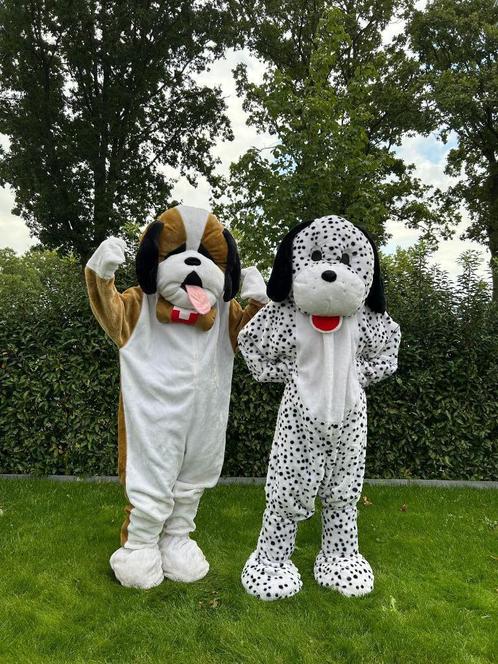 Te huur: Dierenkostuums, Feestkostuums, Mascottepakken, Hobby en Vrije tijd, Feestartikelen | Verhuur, Zo goed als nieuw, Overige