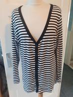 Miss etam vest mt XXL/ 46, Verzenden, Zwart, Maat 46/48 (XL) of groter, Zo goed als nieuw