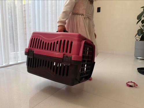 Transportboxes kat en kleine hond, Dieren en Toebehoren, Transportboxen, Nieuw, Ophalen of Verzenden