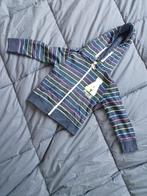 Jongens vest maat 92, Kinderen en Baby's, Kinderkleding | Maat 92, Ophalen of Verzenden, Zo goed als nieuw, Jongen, Trui of Vest