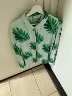 Fabienne Chapot blouse maat XL, Verzenden, Zo goed als nieuw, Maat 46/48 (XL) of groter