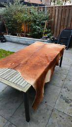 Mooie Koeienhuid - Vloerkleed / Decoratie, Gebruikt, 100 tot 150 cm, Landelijk, 50 tot 100 cm