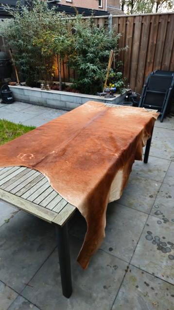 Mooie Koeienhuid - Vloerkleed / Decoratie beschikbaar voor biedingen