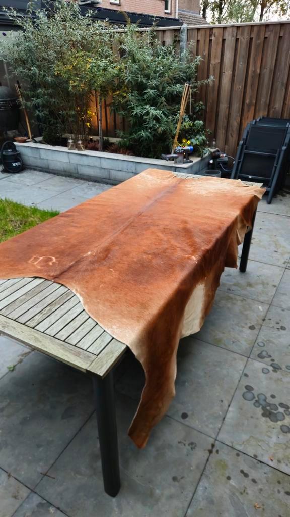 Mooie Koeienhuid - Vloerkleed / Decoratie, Huis en Inrichting, Stoffering | Tapijten en Kleden, Gebruikt, 50 tot 100 cm, 100 tot 150 cm