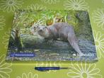 Nieuw in seal: Otter - Natuurmonumenten Limited Edition, Ophalen of Verzenden, 500 t/m 1500 stukjes, Nieuw, Legpuzzel