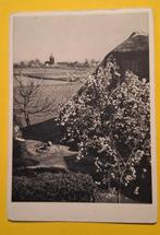 Martien Coppens. Provinciaal anjerfonds, Verzamelen, Ophalen of Verzenden, Voor 1940, Zo goed als nieuw