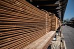 Tuinhout, tuinplanken, palen, rabatdelen en tuinschermen, Ophalen, Nieuw, 250 cm of meer, Planken