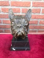 bronzen buste van een Engelse bulldog, Ophalen of Verzenden, Brons