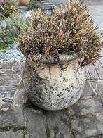 Ronde bloempot van beton/steen, Tuin en Terras, Bloempotten, 25 tot 40 cm, Gebruikt, Rond, Binnen