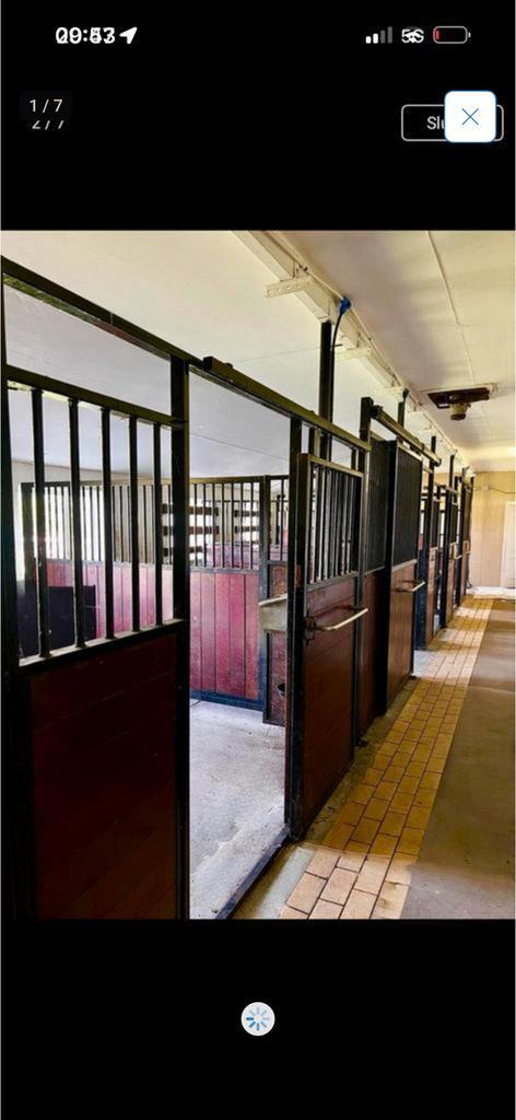 Stal te huur, Dieren en Toebehoren, Stalling en Weidegang