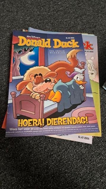 Donald ducks beschikbaar voor biedingen