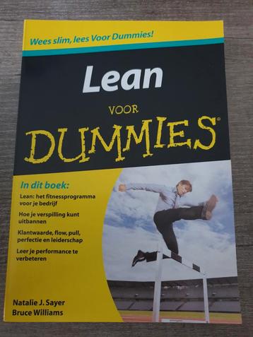 Lean voor Dummies - Natalie J. Sayer beschikbaar voor biedingen