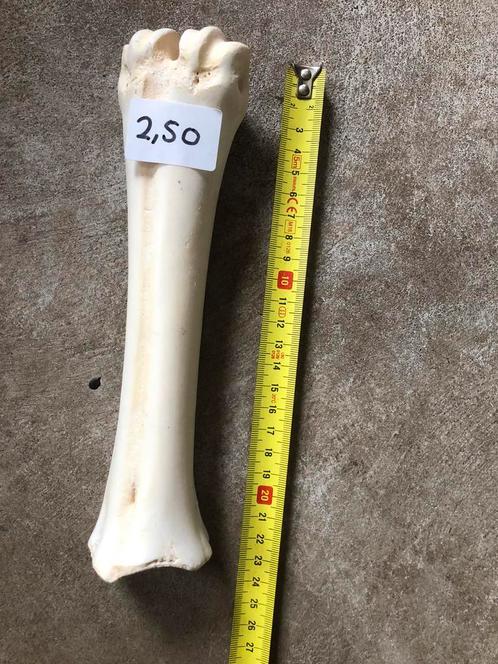Diverse hondensnacks, Dieren en Toebehoren, Overige Dieren-accessoires, Nieuw, Ophalen of Verzenden