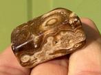 Chocolade calciet edelsteen broekzaksteen trommelsteen, Ophalen of Verzenden, Mineraal