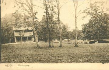 (701-352-025) Assen Hertekamp beschikbaar voor biedingen