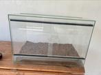 Terrarium 60x40x40, Dieren en Toebehoren, Ophalen, Zo goed als nieuw, Terrarium of Paludarium