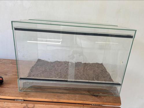 Terrarium 60x40x40, Dieren en Toebehoren, Reptielen en Amfibieën | Toebehoren, Zo goed als nieuw, Terrarium of Paludarium, Ophalen