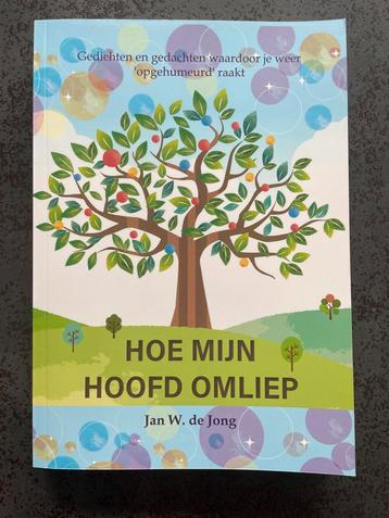 Hoe mijn hoofd omliep - Jan W. de Jong beschikbaar voor biedingen