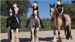 Paardrijles op privépaarden! (Tinkers!), Paardrijles of Ponykampen