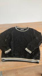 Trui. Mt. L Vera Jo. Zwart. Lijfje gevoerd, armen niet., Kleding | Dames, Zwart, Vera Jo, Maat 42/44 (L), Ophalen of Verzenden