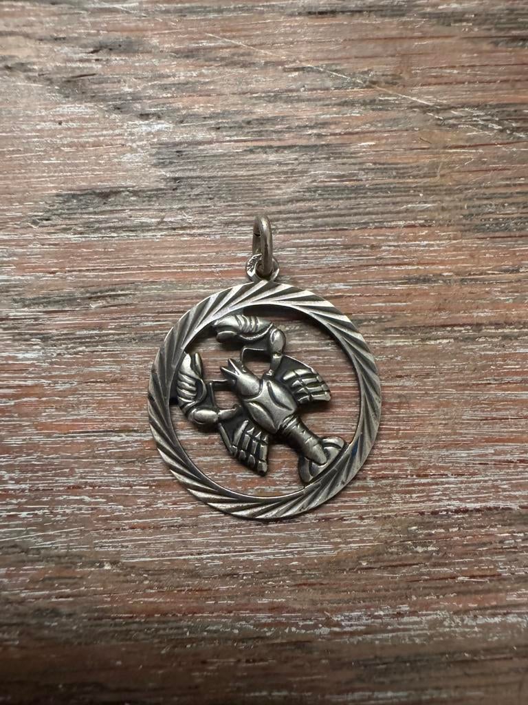 Zilveren Sterrenbeeld Hanger 835 Zilver - Kreeft?, Ophalen of Verzenden, Gebruikt, Zilver, Dier