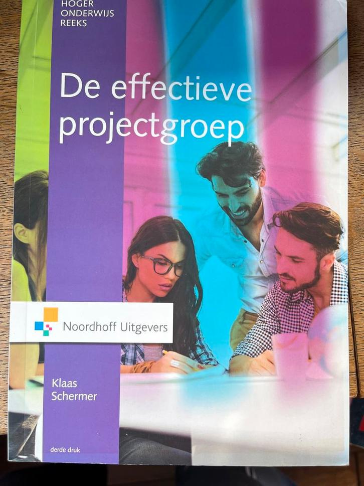 Studieboek: De effectieve projectgroep, Boeken, Studieboeken en Cursussen, Zo goed als nieuw, HBO, Ophalen of Verzenden