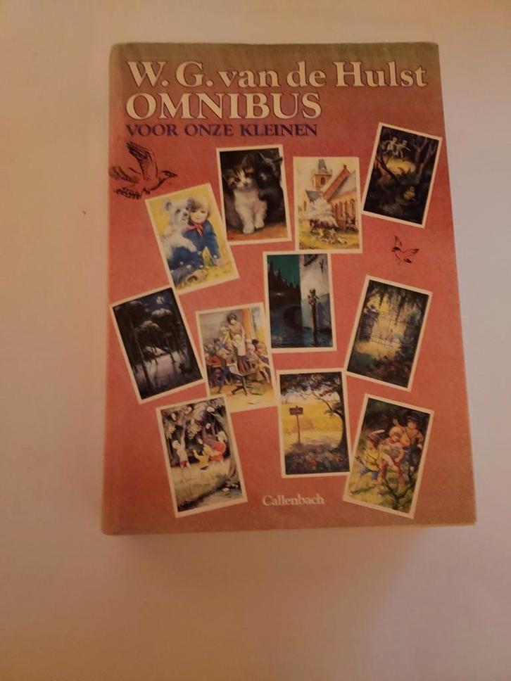 Grote voorleesboeken van W.G. van de Hulst, Boeken, Kinderboeken | Jeugd | 10 tot 12 jaar, Gelezen, Ophalen of Verzenden