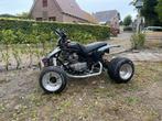 Quad 250cc met kenteken, Ophalen of Verzenden