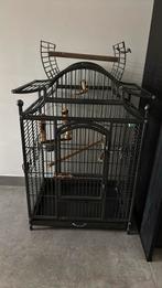 Meltalen grote kooi dwergpapegaai, Dieren en Toebehoren, Ophalen, Zo goed als nieuw, Metaal, Vogelkooi