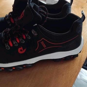 Heren schoenen  Maat 42a 43 beschikbaar voor biedingen