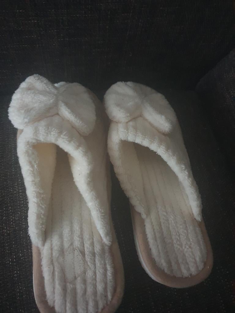 Pantoffels, Ophalen, Zo goed als nieuw, Pantoffels of Sloffen