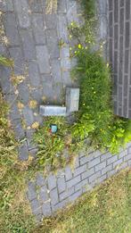 Betonklinker antraciet 20x10x8, Tuin en Terras, Tegels en Klinkers, Ophalen, Gebruikt, Klinkers, 10 m² of meer